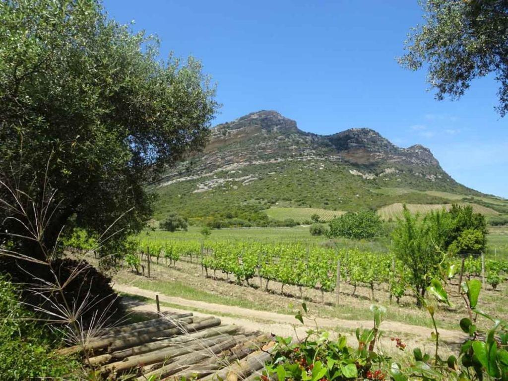 Jardin Et 2 Centre St Florent * Saint-Florent (Corsica)
